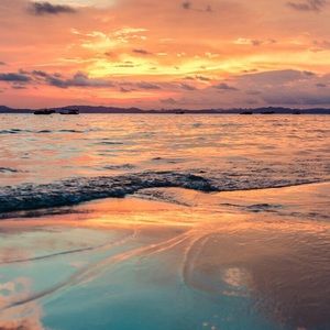 Meet your Posher, Jake